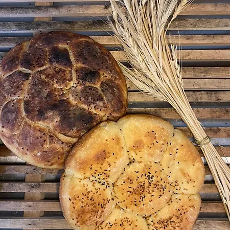 Hotel Marlo 12 Adult Only