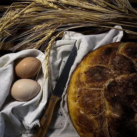 Marlo 12 Adult Only Hotel