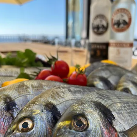 Hotel Marlo 12 Adult Only