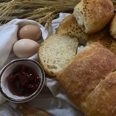 Marlo 12 Adult Only Hotel