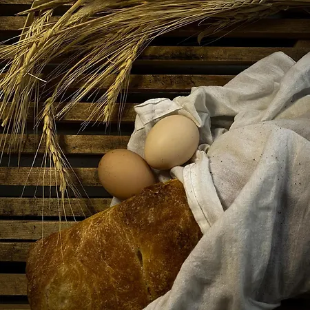 Hotel Marlo 12 Adult Only Ayvalı