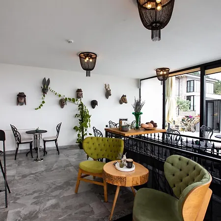 Marlo 12 Adult Only * Ayvalı