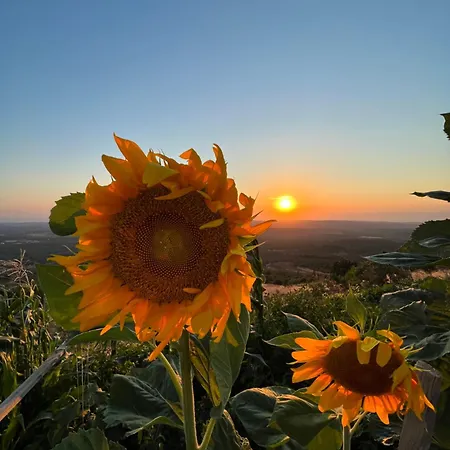 Hotel Marlo 12 Adult Only Ayvalı