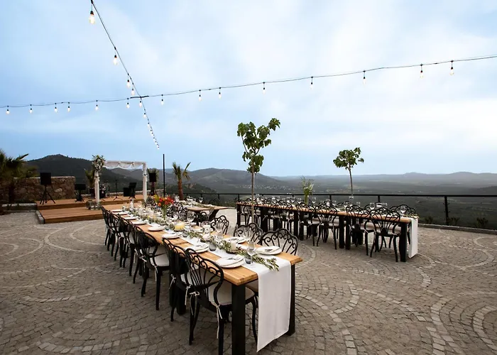 Marlo 12 Adult Only *