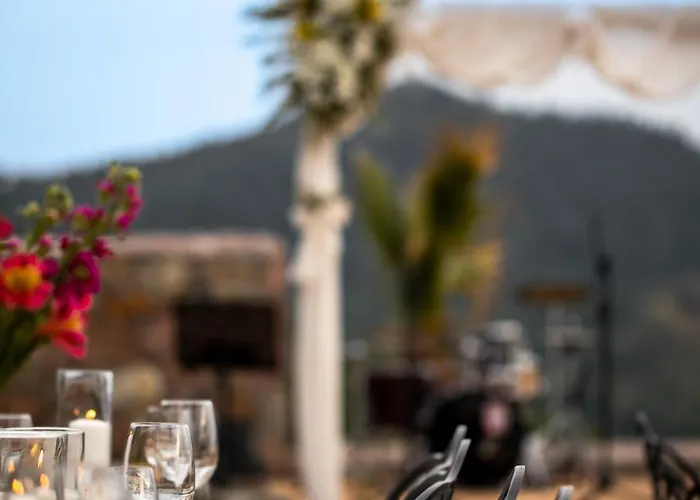 Marlo 12 Adult Only * Ayvalı