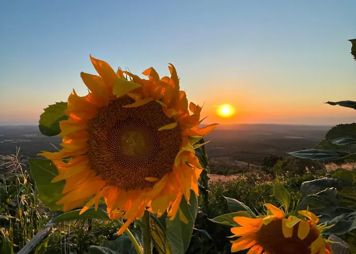 فندق Marlo 12 Adult Only Ayvalı